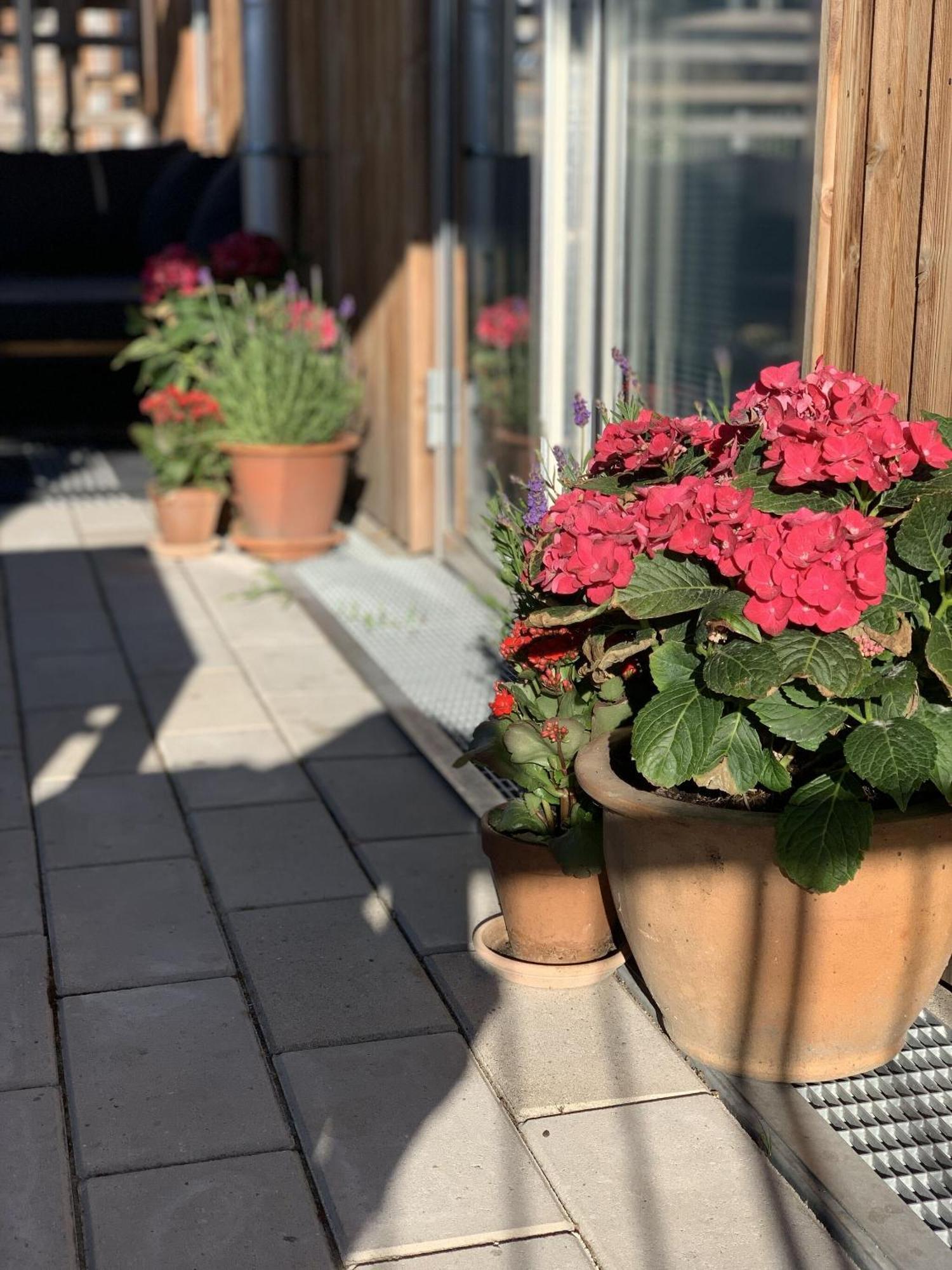 Apartmentincopenhagen Apartment 1460 Екстер'єр фото